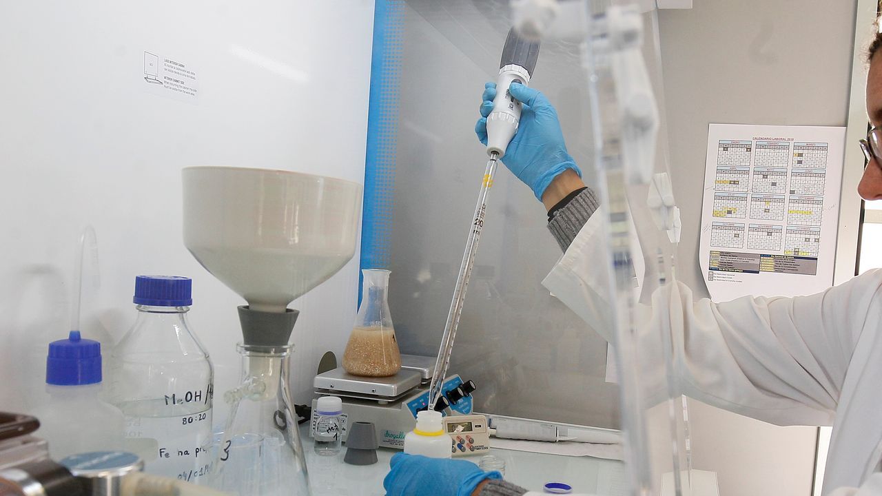 �Si uno tiene 30 Grand Slam, pero ning�n amigo, va a tener un futuro infeliz�.Salvador Illa, ministro de Sanidad