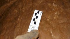Marcas dejadas en la pared de una cueva de la sierra de O Courel por las garras de un oso pardo, en una imagen publicada en la gua que elabor el Instituto Universitario de Xeoloxa de A Corua