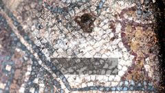 La primera imagen publicada de la copa del mosaico de la villa romana de San Martn de La Estaca, en el concejo de las Regueras (Asturias)