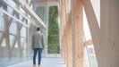 Madera, vidrio y vegetacin son los tres elementos que se dan la mano en el Impulso Verde