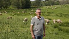 Proponen que Lugo limpie sus zonas verdes con ovejas y cabras