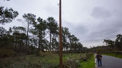 En Ansen (Buxantes, Dumbra) se colocaron nuevos postes e hilos para banda ultrarrpida en noviembre del ao pasado