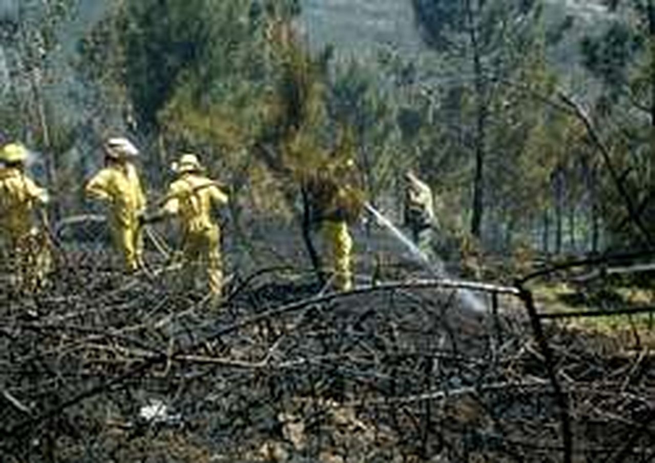 El Calor Y El Viento Propician El Primer Incendio Forestal Del Año En