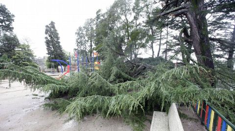 En Vigo, el viento ha derribado las ramas de un rbol sobre el parque infantil de O Castro