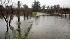 En imgenes: el temporal de viento y lluvia deja incidenciasen Galicia