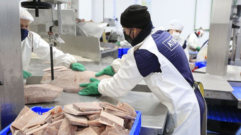 El juzgado anula las ampliaciones de capital en Atunlo Cambados y O Grove