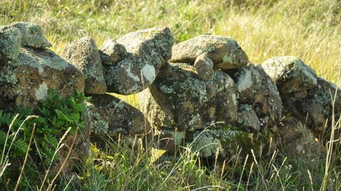 Se algo marca o territorio galego son os valados de pedra seca que separa agros e leiros