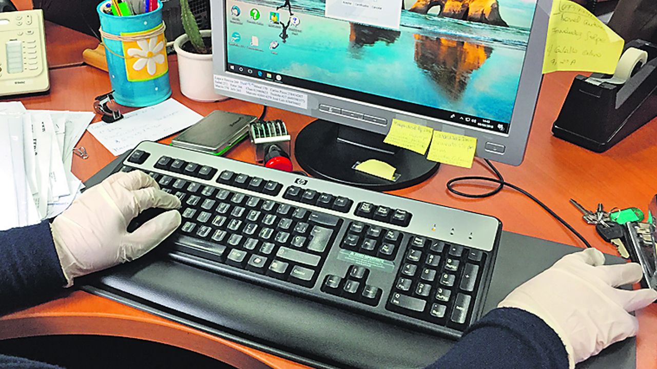 El gobierno de Ferrol responde a la plaga de ratones limpiando solo una