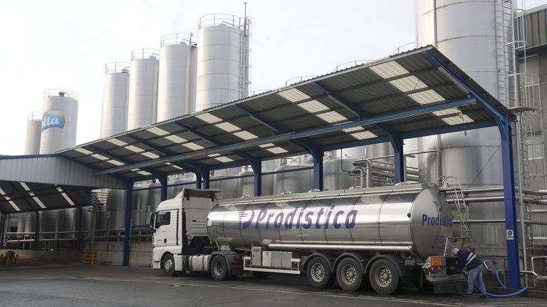 Iberleche eleva sus ventas a casi 263 millones y diversifica el negocio al mercado del queso