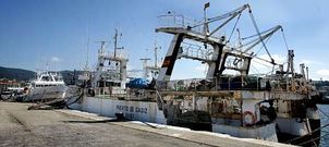 La mayora de los barcos de la flota cefalopodera espaola llevan un ao atracados en Marn desde su expulsin de Mauritania.
