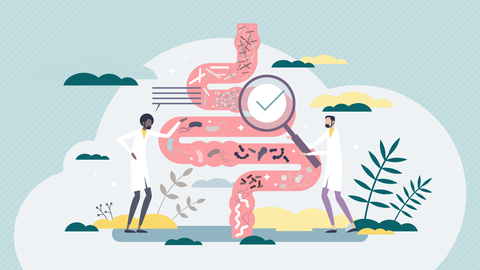 Las flatulencias estn condicionadas por la microbiota intestinal. 