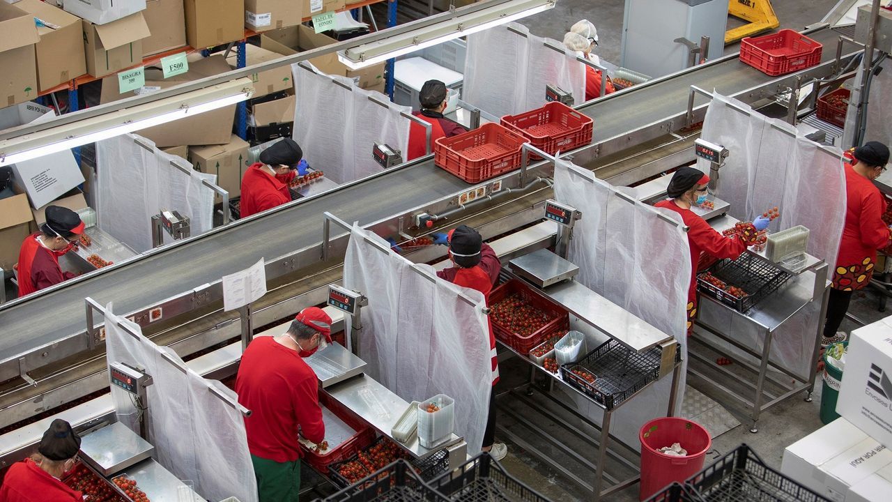 Una firma de alimentaci�n granadina ha instalado mamparas de separaci�n en la cadena de producci�n 