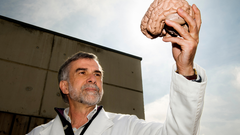 Ignacio Morgado es catedr�tico em�rito de Psicobiolog�a en el Instituto de Neurociencia y en la Facultad de Psicobiolog�a de la Universidad Aut�noma de Barcelona
