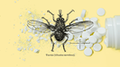 La mosca tse-tse es el vector de transmisi�n de la enfermedad del sue�o. 