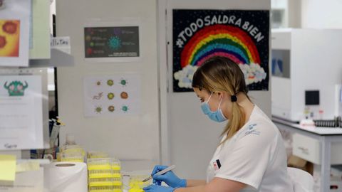 Tcnicos sanitarios del Hospital Universitario Central de Asturias (HUCA), trabajan en el interior de la cabina de seguridad del laboratorio de virologa de este centro de referencia del Principado