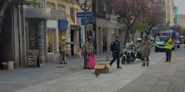 Los bomberos lograron rescatar a la pata y los ocho patitos de su nidada
