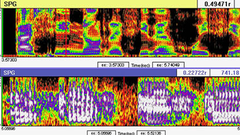 Imagen de un sonograma registrado en el laboratorio de ac�stica forense de la Polic�a Cient�fica