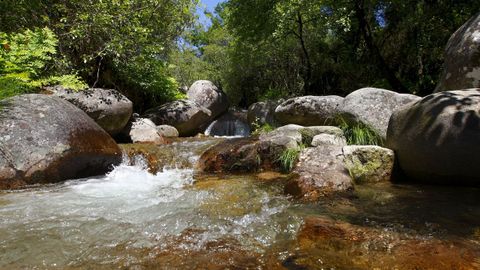 Bello rincn fluvial del parque nacional del Gers