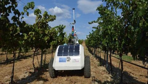 Robot de viticultura