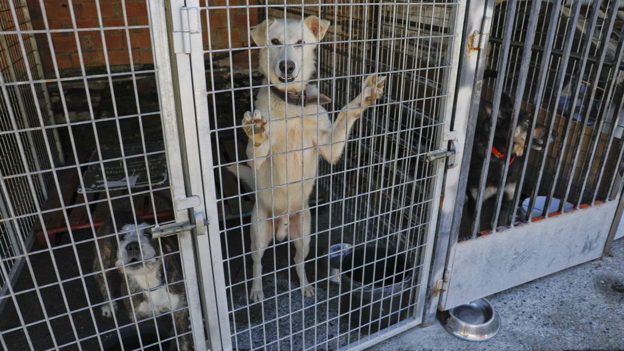 Jornada de puertas abiertas en Cementos Cosmos