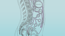 El peritoneo es una membrana que recubre los órganos de la parte abdominal del cuerpo.
