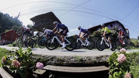 Un grupo de escapados del pelotn, en la novena etapa de la Vuelta, a su paso por Villaviciosa