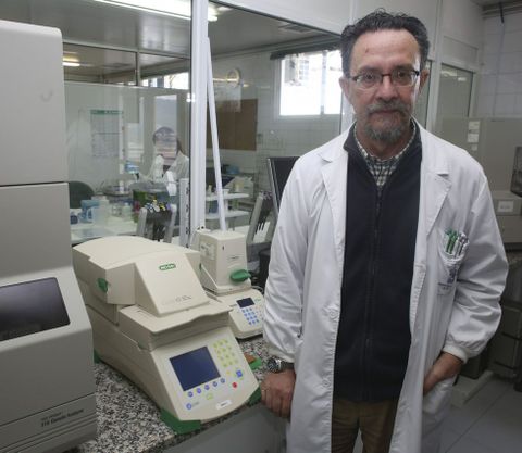 Pedro Mansilla lidera el trabajo de la Estacin Fitopatolxica do Areeiro, en la finca de Lourizn. 
