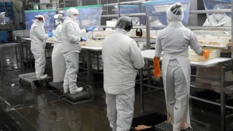 Profand ultima un acuerdo en Argentina para explotar la antigua factoría Alpesca