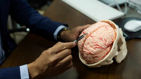 Un profesional sanitario se�alando el cerebro.