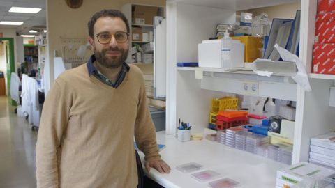 Albert Antoln lidera el programa Oncobell del Instituto de Investigacin Biomdica de Bellvitge (Idibell)