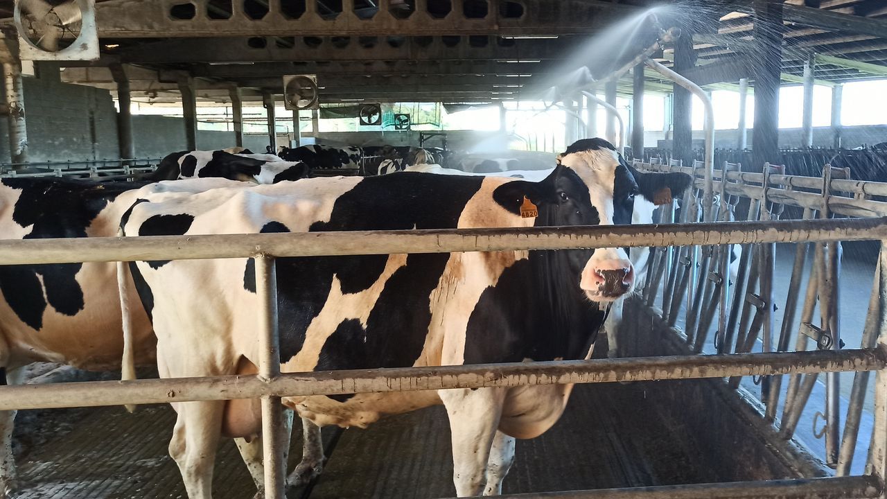 Obras del ascensor paralizadas en la Avenida de las Conchi�as en A Coru�a.Una pintada, en el mismo punto de la playa de Coira en el que la pandilla de amigos de los ocupantes del kayak se juntaban siempre, recuerda a Miguel Quan y a Javier Hurtado