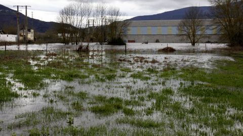 Inundaciones en la provincia de Ourense.La crecida del Sil ha inundado un centenar de casas en O Barco de Valdeorras, adems de fincas, huertas y el Malecn