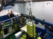 Descarga de sardina en el puerto de A Coru�a