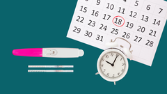 La ovulaci�n no tiene por qu� ocurrir en todos los ciclos menstruales de una mujer.