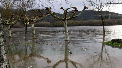 Inundaciones en la provincia de Ourense.La crecida del Sil ha inundado O Aguillón y la chopera de A Rúa de Valdeorras