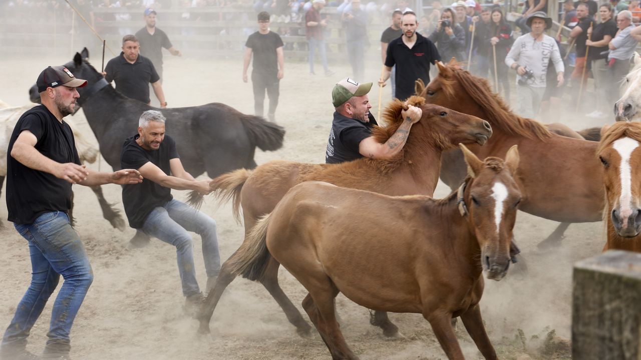 Ruta de las cascadas de Quiroga.La Rapa das Bestas da Capelada, en su pasada edici�n.