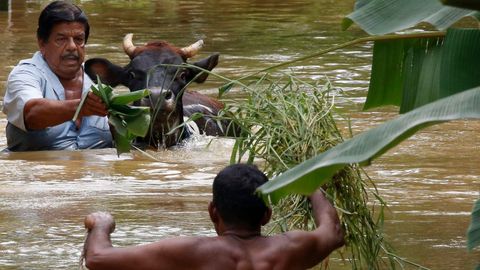 Dos hombres intentan salvar a una vaca en una calle inundada debido a las lluvias del monzn en Colombo, Sri Lanka