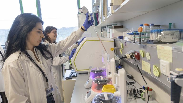 Así son los biomarcadores: las señales medibles de nuestro cuerpo que pueden detectar, seguir o predecir una patología