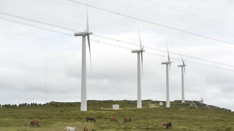 Transición Ecológica evalúa el impacto de dos grandes parques eólicos en Galicia