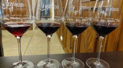 Las elecciones estn pendientes en todas las denominaciones del vino gallegas