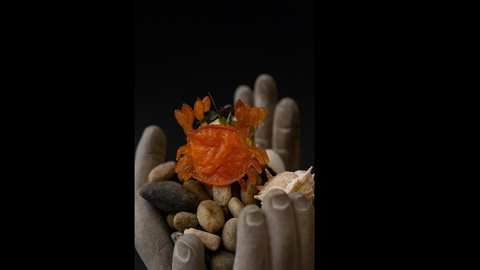 Elaboraci�n de�Luis Men�ndez, chef de Alalunga