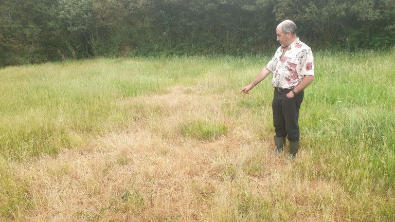 Temor en ganaderos de Lugo a que un verano seco los deje sin hierba: «Pode ser complicado»