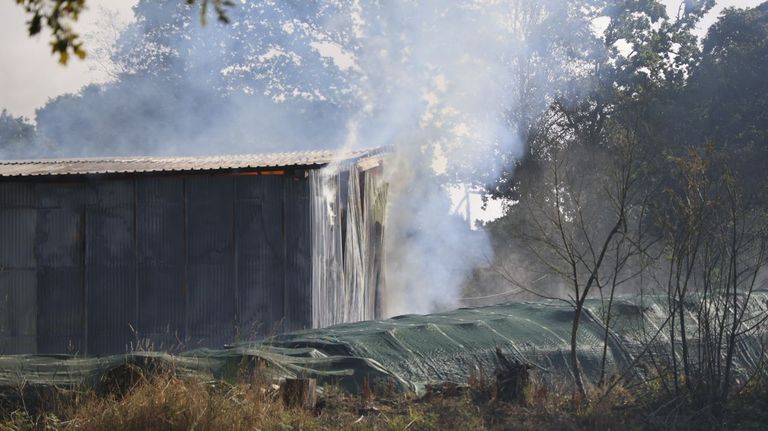El fuego se inició al filo de las diez de la mañana