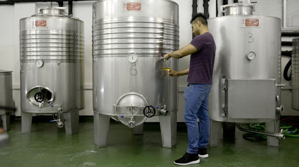 Varios proyectos urbanísticos coinciden en el Alto de Perillo.Un alumno del ciclo superior de Vitivinicultura practica en las instalaciones del IES de O Ribeiro