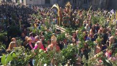 Domingo de Ramos y procesin de A Borriquia en Lugo