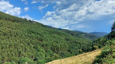 Terrenos de la parroquia de A rrea (Riotorto), donde funciona la sofor Monte de Candedo.