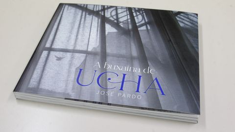 En la imagen, la portada del libro, que incluye textos de Felipe Cotovad y Paulo Alonso, con edicin de Hctor Porto y diseo de Eloy Taboada