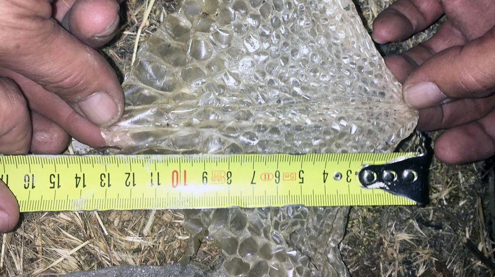 Im�genes de la fiesta de convivencia de O Noso Lar