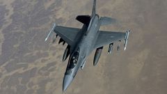Avin de combate F-16C Fighting Falcon de la Fuerza Area de Estados Unidos