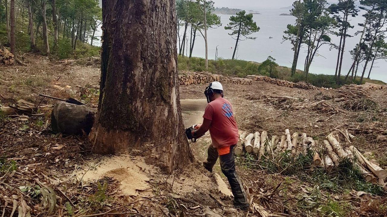 Se�alizaci�n horizontal y vertical de las ZBE en el cruce de ronda de Nelle y paseo de Ronda. 